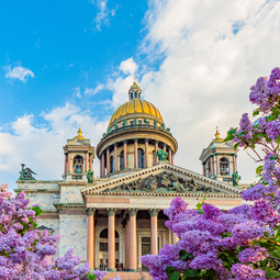 Spring Saint Petersburg Sights of Russia St Isaac's Cathedral Surrounded by Lilacs